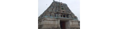 219. திருத்தினைநகர்
